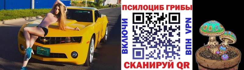 Галлюциногенные грибы Psilocybine cubensis  Шиханы 